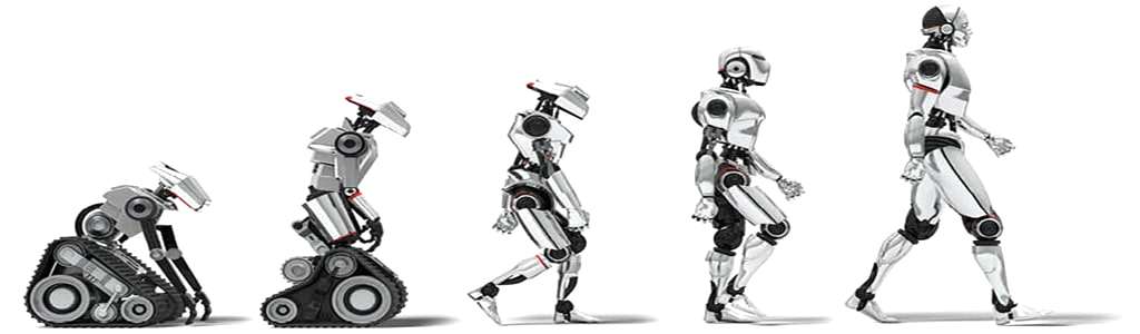 java, C# Yazılım Kodlama