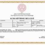 MEB Onaylı Sertifika